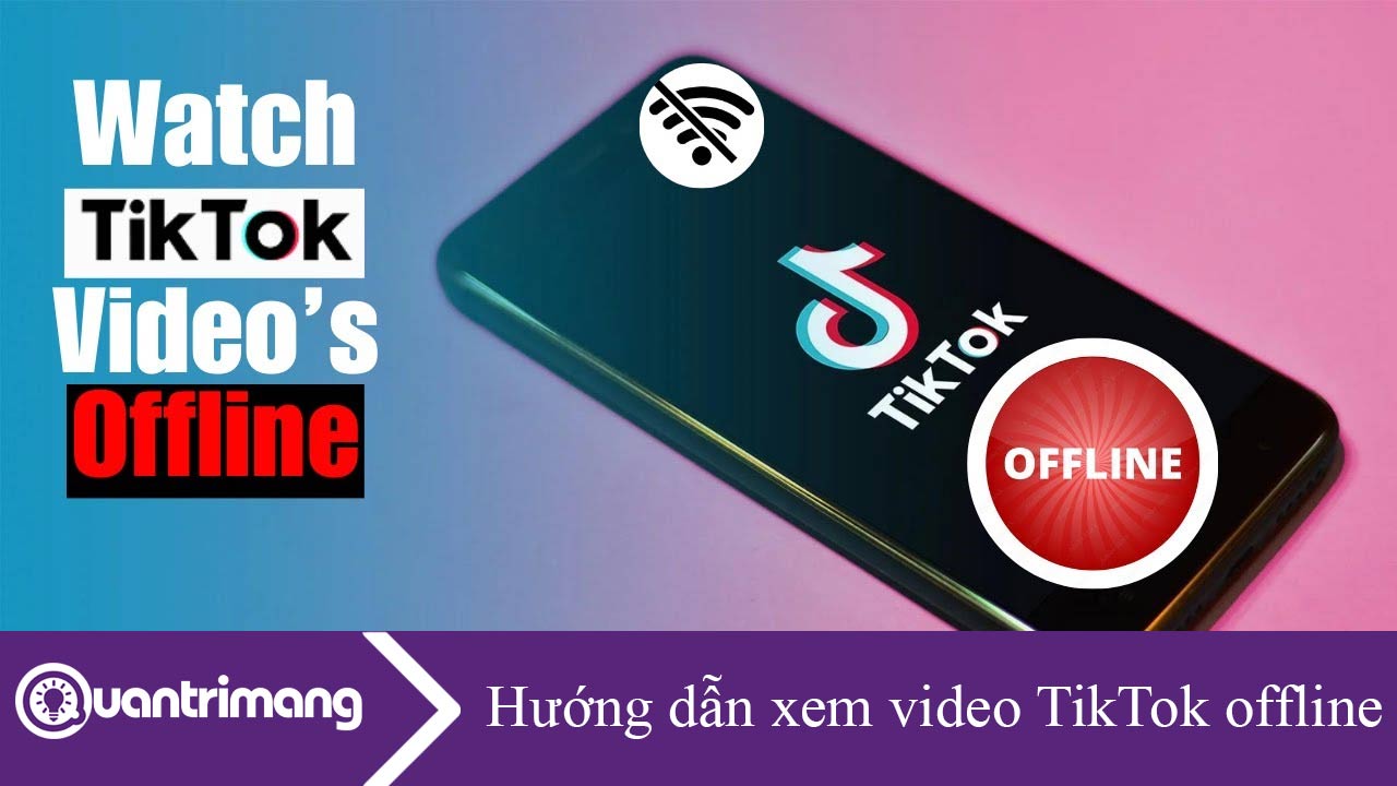 Hướng dẫn xem video TikTok offline