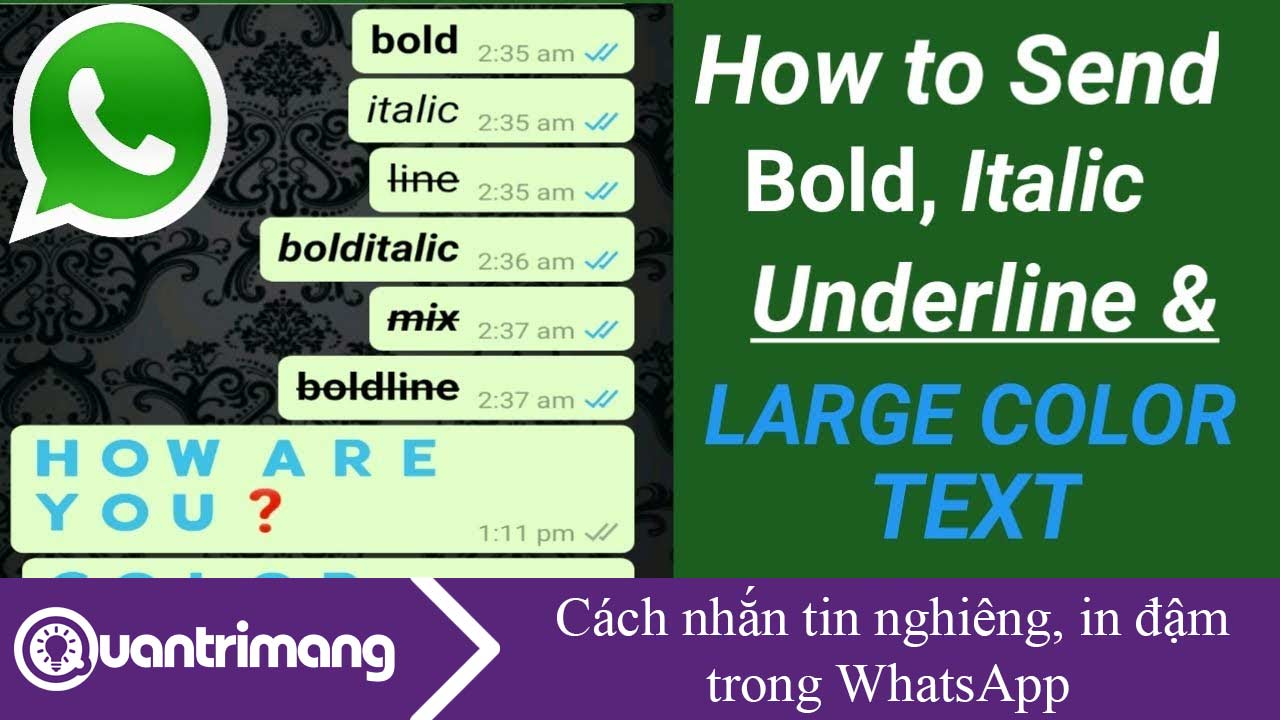 Cách nhắn tin nghiêng, in đậm trong WhatsApp