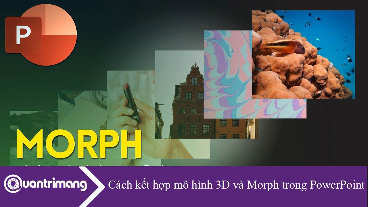 Cách kết hợp mô hình 3D và Morph trong PowerPoint