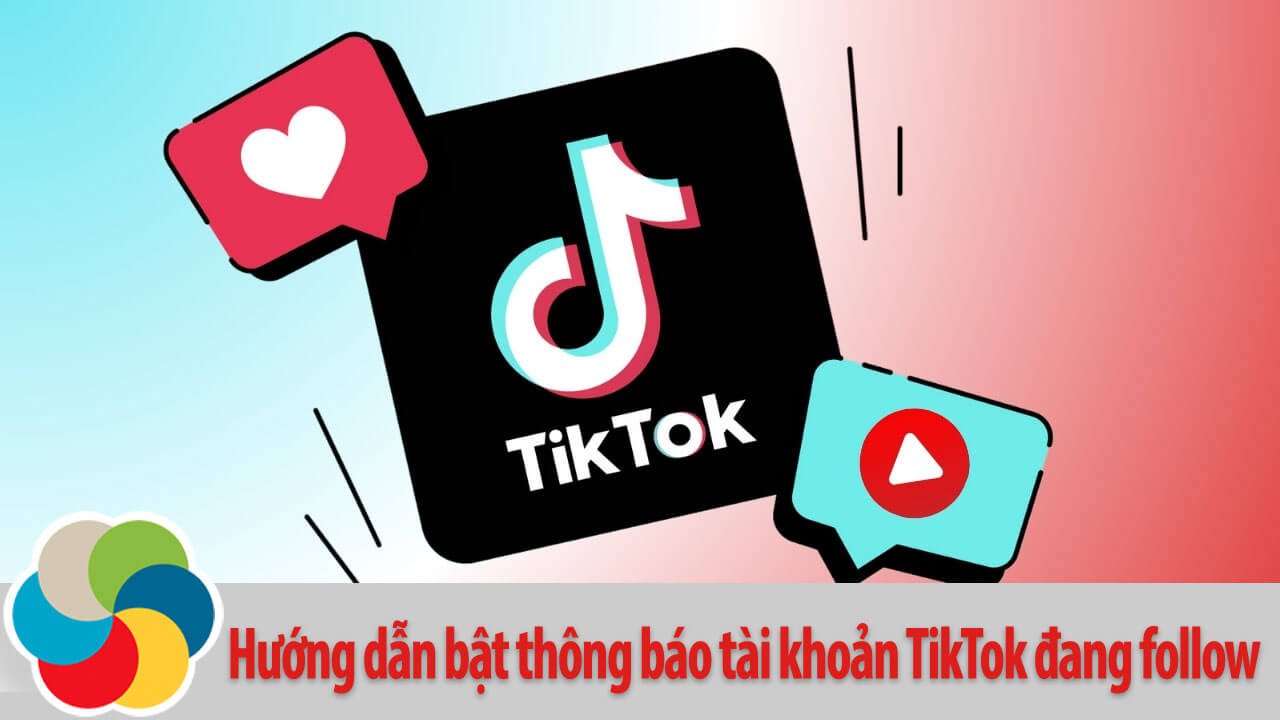 Hướng dẫn bật thông báo tài khoản TikTok đang follow