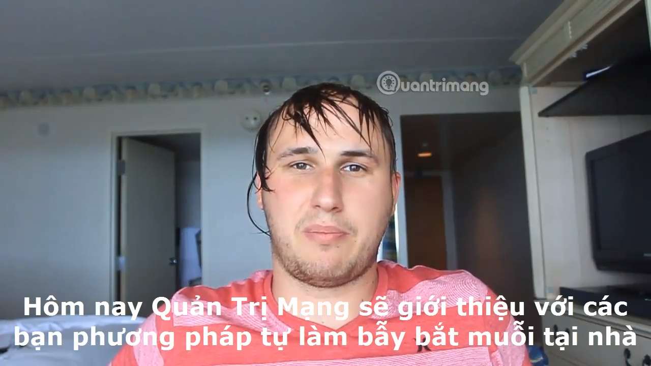 Tự làm bẫy diệt muỗi tại nhà