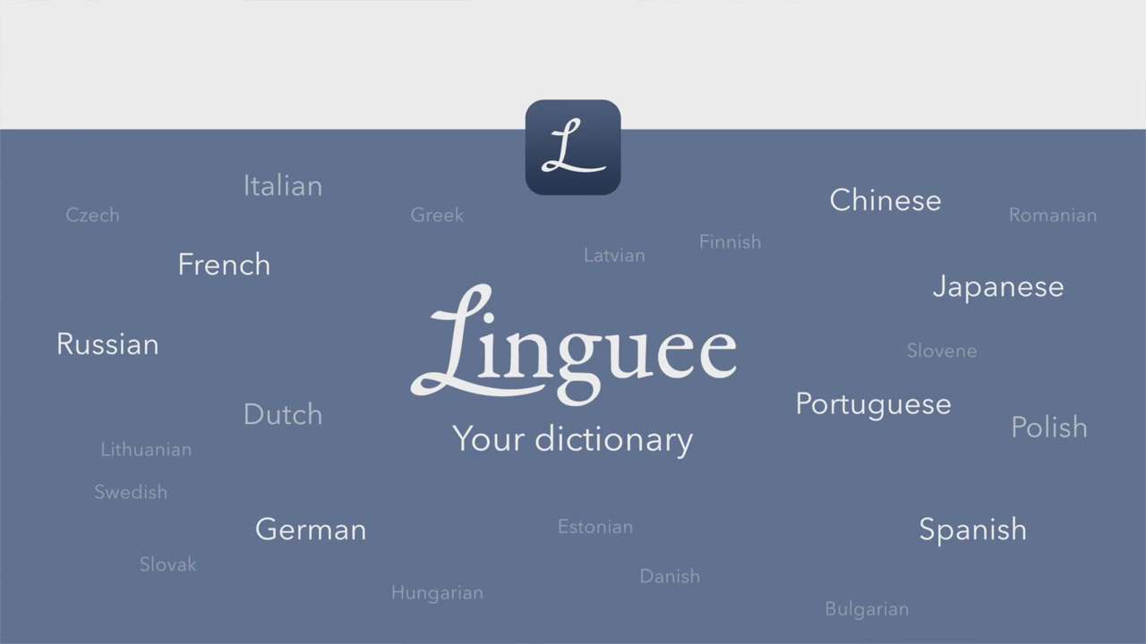 Multilingual Dictionary Linguee