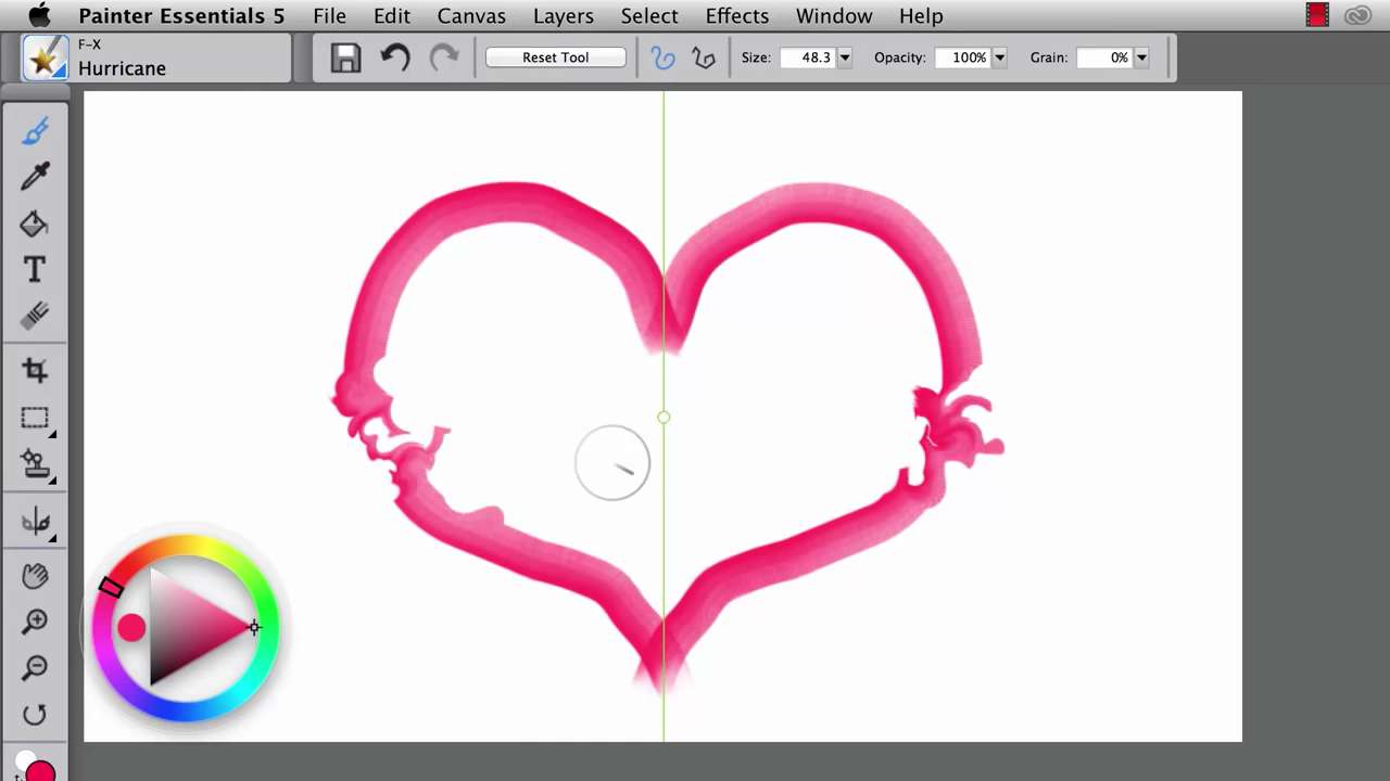 Corel Painter Essentials 5 Mirror Painting