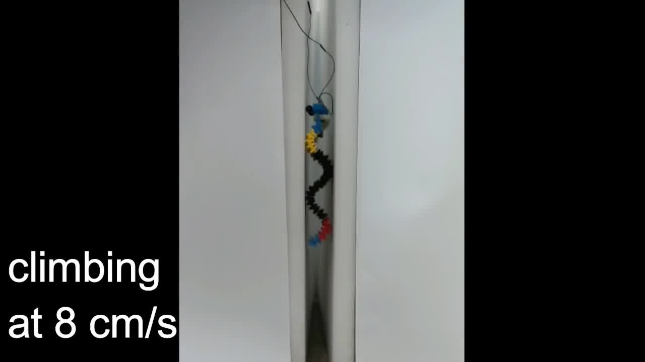 Crawling, swimming and climbing with a 3D printed wave producing robot (SAW)