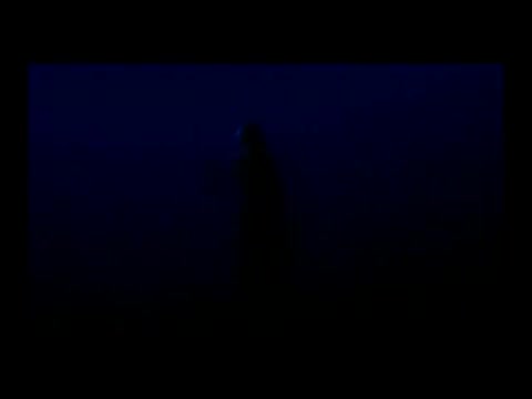 Glowing hatchet fish