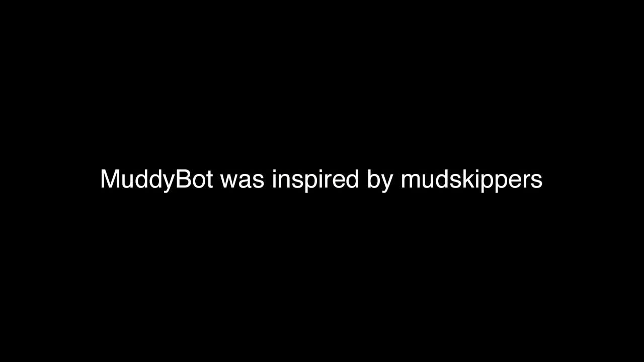 MuddyBot – robot mimics mudskippers