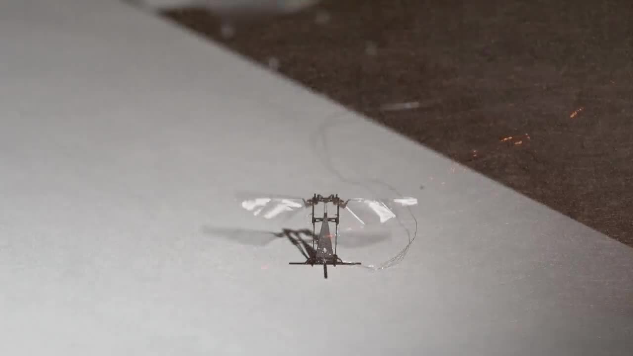 RoboBees Design Poses Intriguing Engineering, Computer Science Challenges Science Nation
