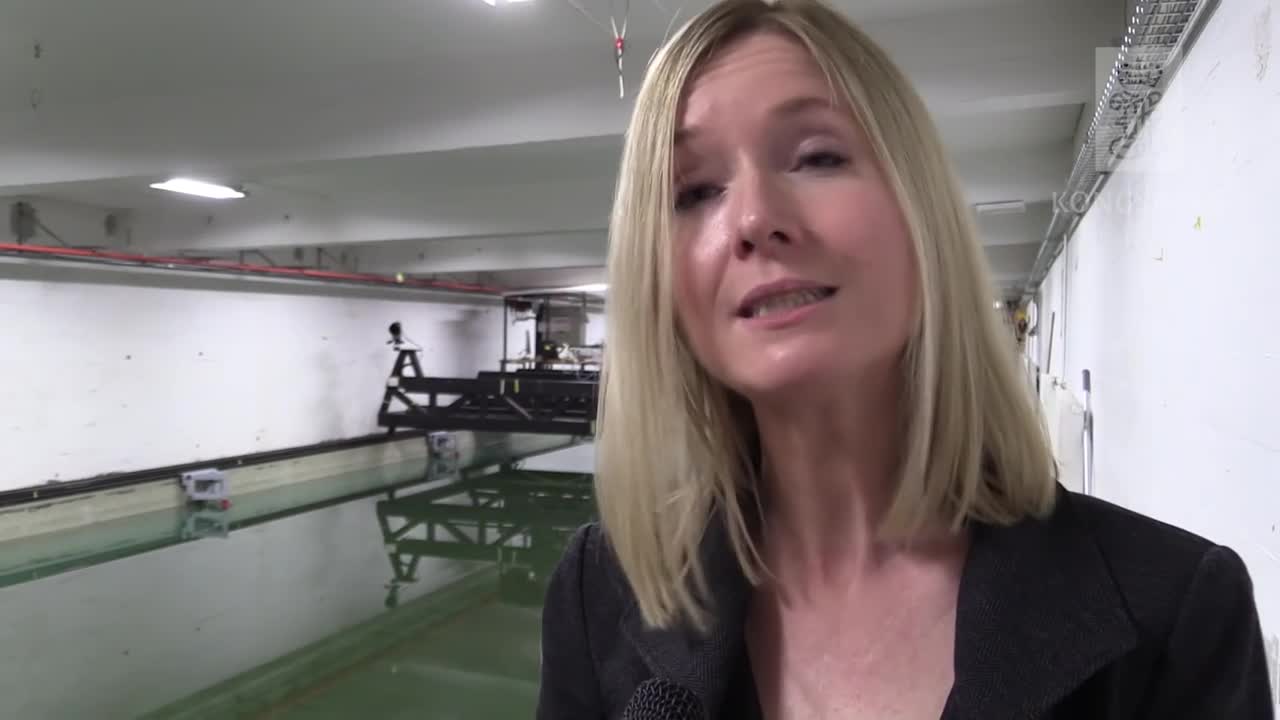 Swimming robot for maintenance and inspections