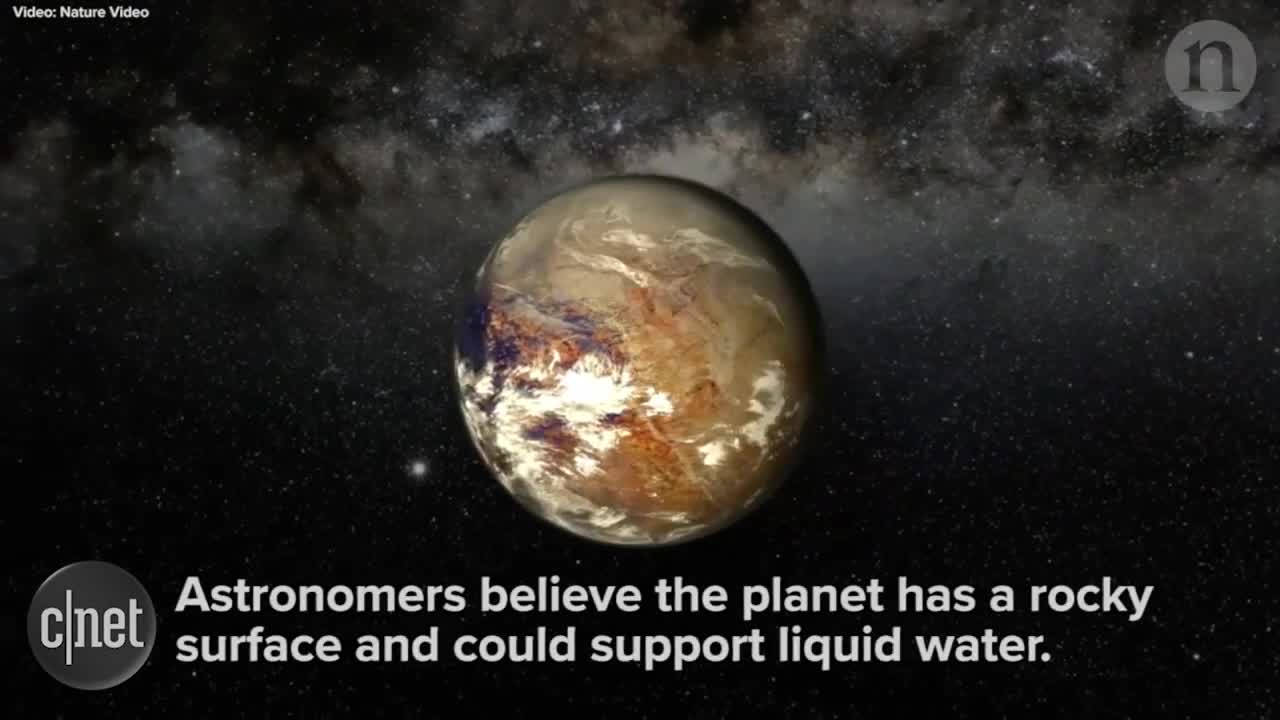 Proxima b could be the planet Earthlings escape to