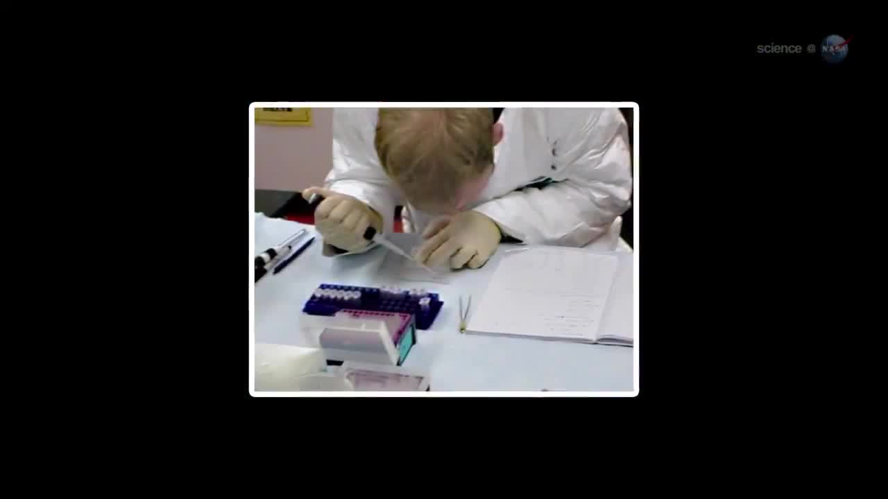 Plants Glow To Visualize Stress In Space Station Experiment Video