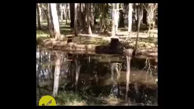 Có ai đẩy đâu, tự ngã thôi 