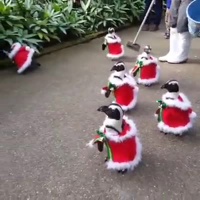 Những "thiên thần" chân dài đi chơi Nô-el