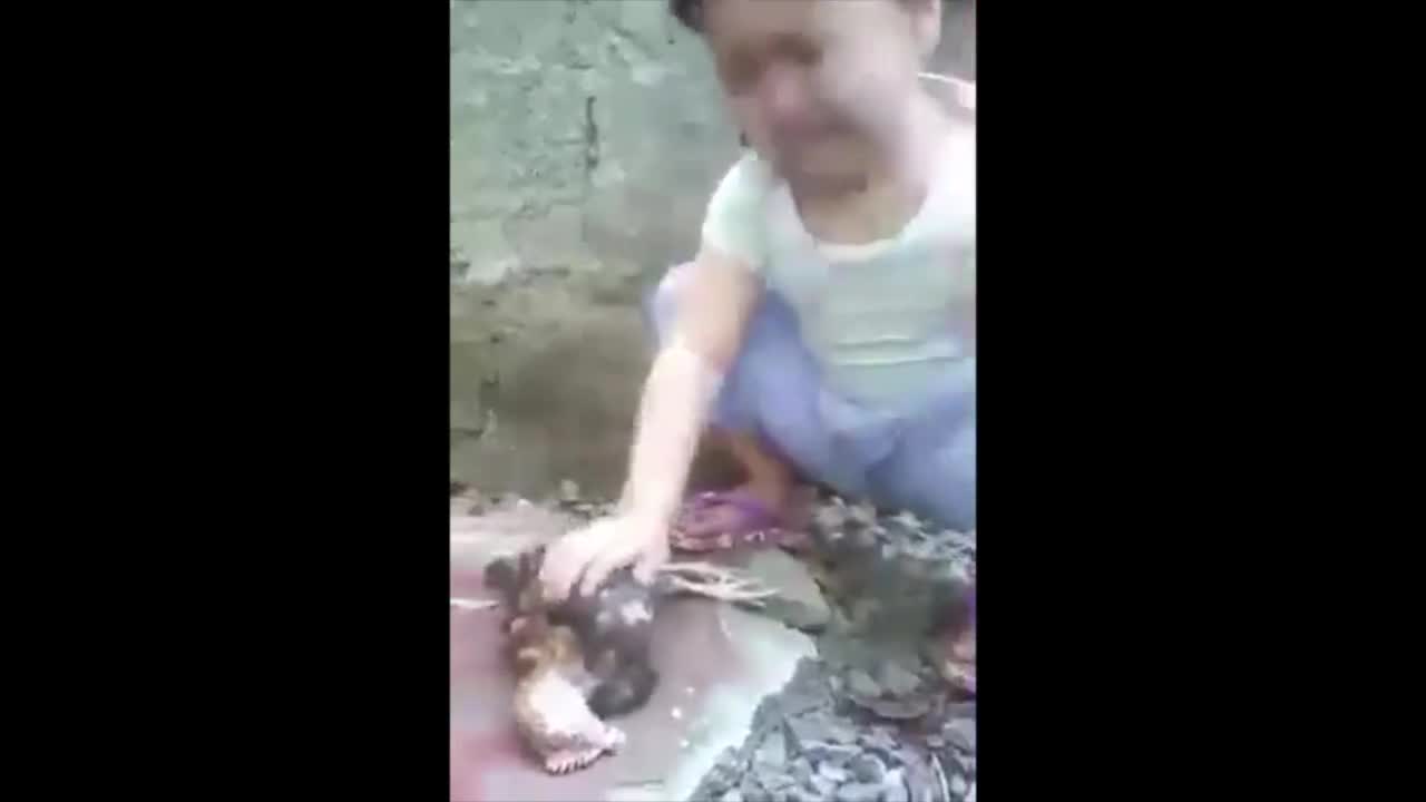 Cô bé thật giầu tình cảm 