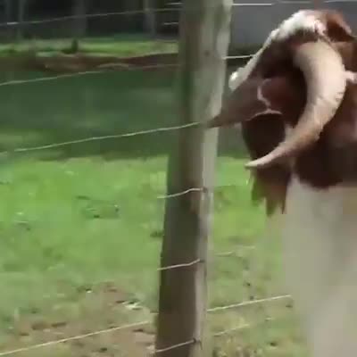 Cảm giác ấy thật khó tả