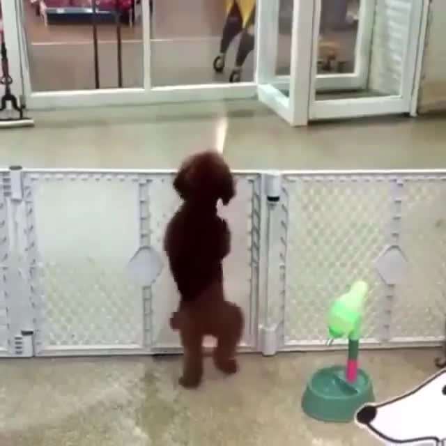 Vũ điệu gì đây?