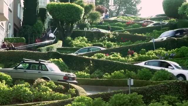 Con phố ngoằn ngoèo nhất thế giới 