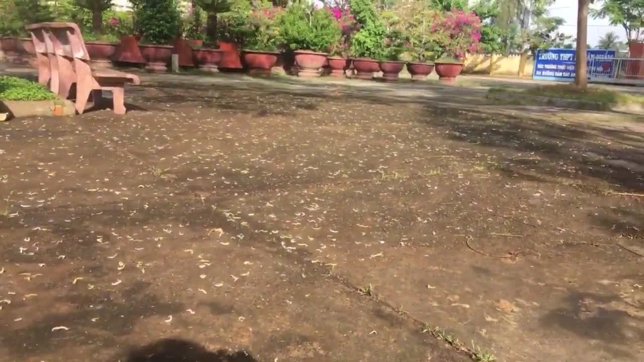 Bạn có dám xem hết