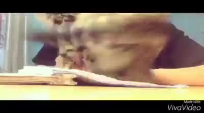 Tránh ra cho anh học bài