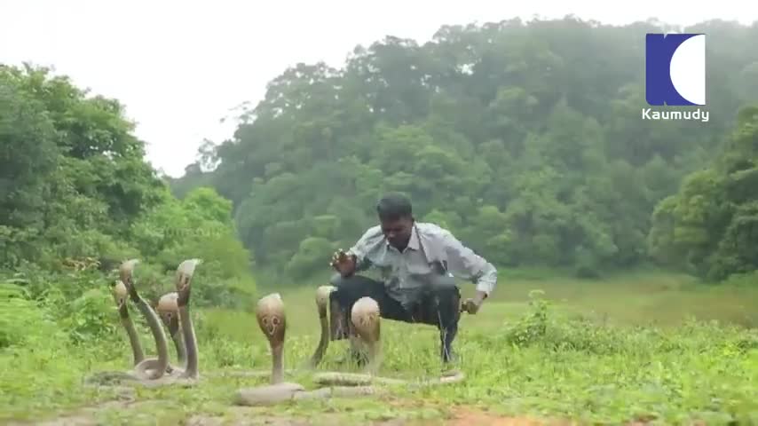 Người đàn ông nói chuyện cùng rắn hổ mang 
