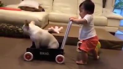 Ngồi ngoan chị cho đi chơi nhé
