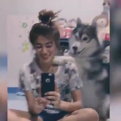 Tớ cũng muốn có một bức hình đẹp 