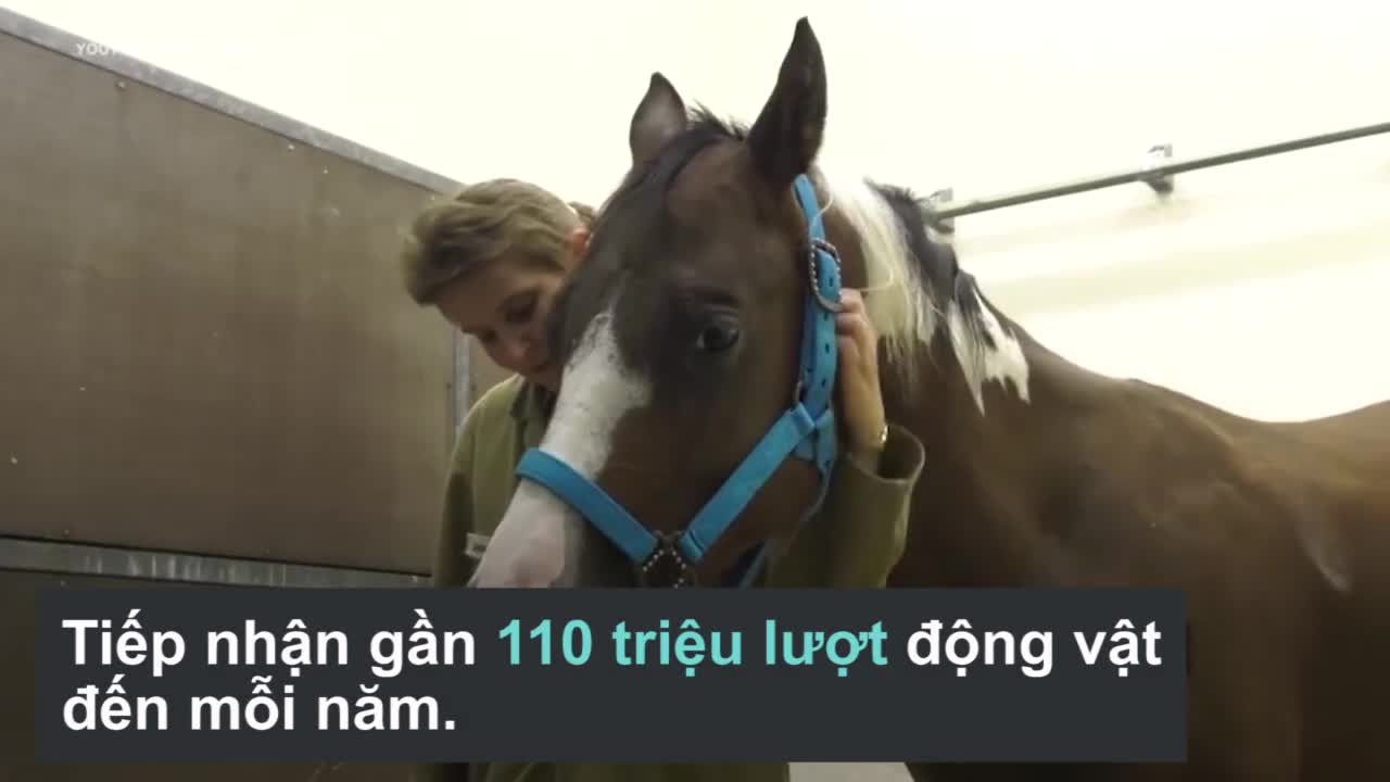 Nhà ga sân bay dành cho động vật lớn nhất thế giớ