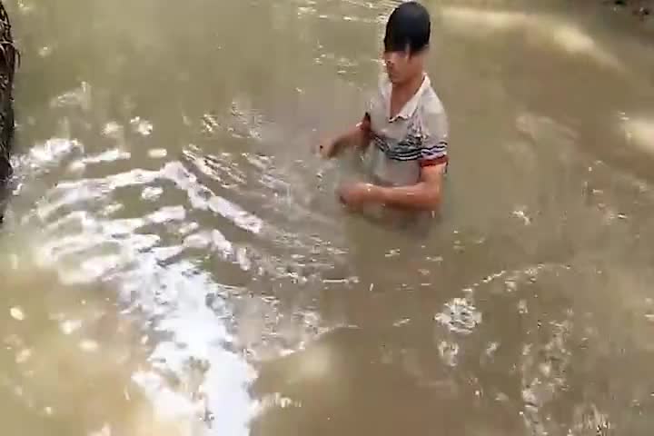 Cao thủ bắt tôm càng xanh bằng bàn tay "nam châm"