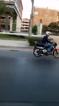 Mèo đi xe máy, đội mũ bảo hiểm siêu anh hùng