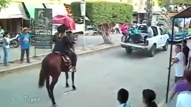 Ngựa đè người 