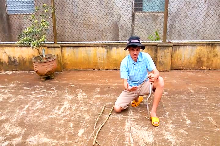 Thanh niên chơi đùa với rắn hổ ngựa trong sân
