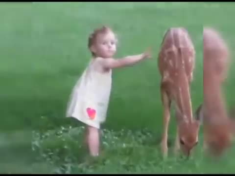 em bé và nai con làm bạn với nhau