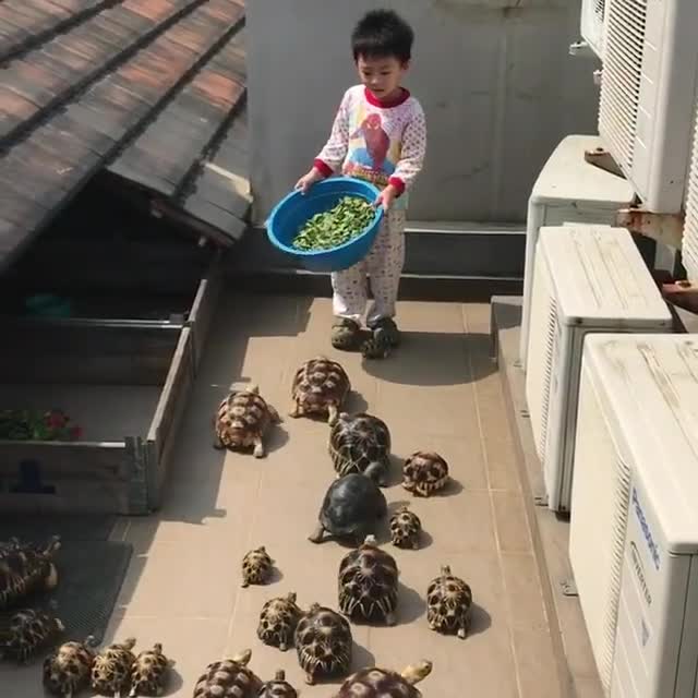 Nhanh, nhanh đã tới giờ ăn rồi kìa!