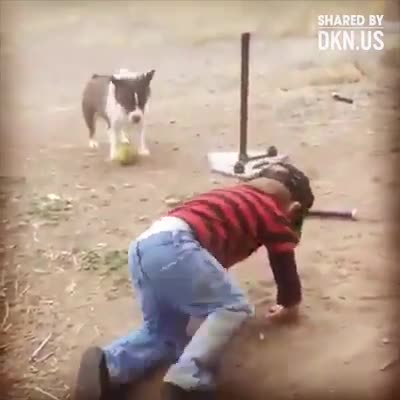 Nhặt bóng chuyên nghiệp đấy mọi người ạ! 
