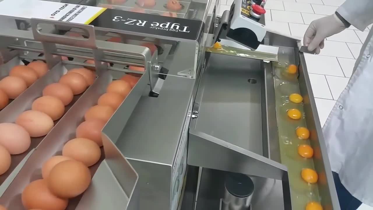 Cỗ máy tách gần 20.000 quả trứng mỗi giờ