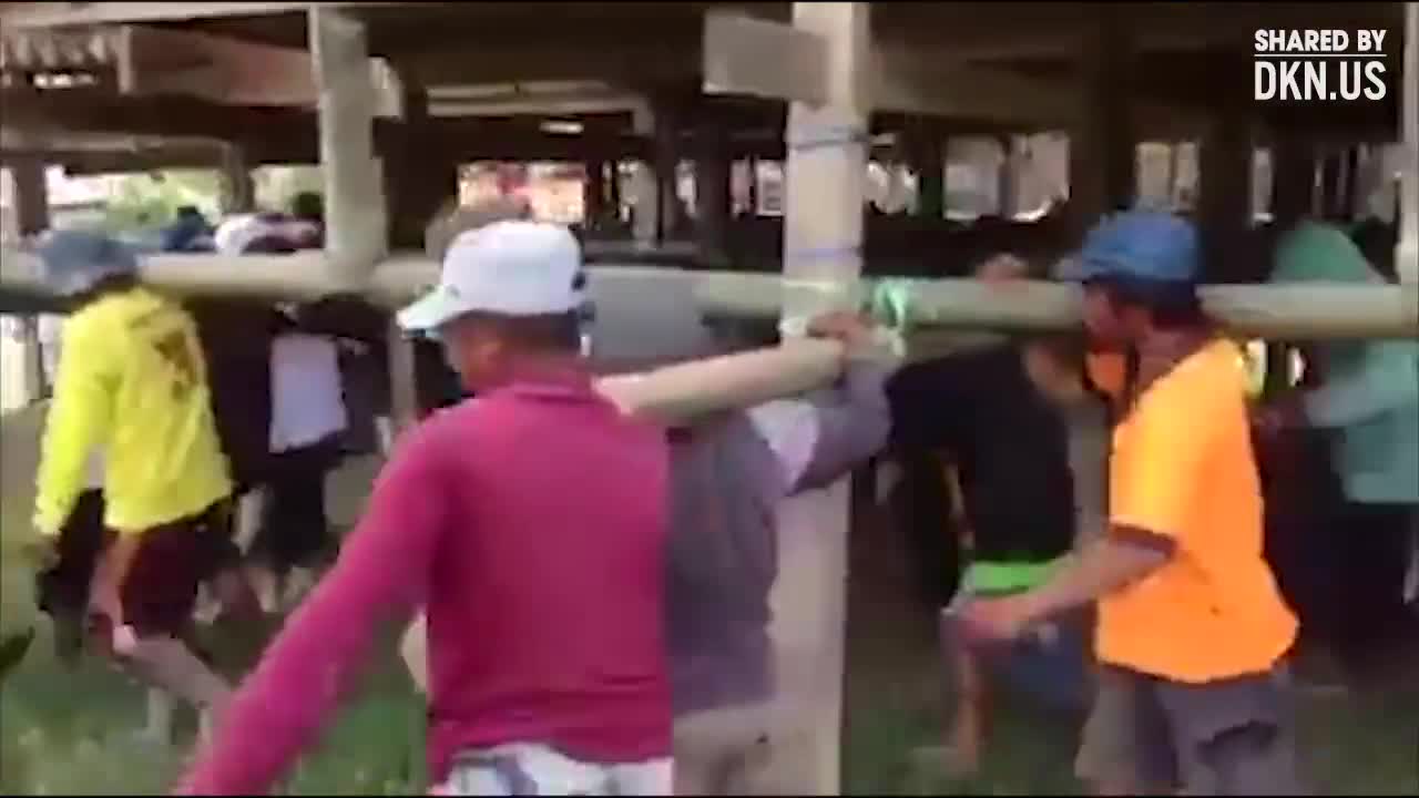  Chưa bao giờ chuyển nhà lại nhanh đến thế!
