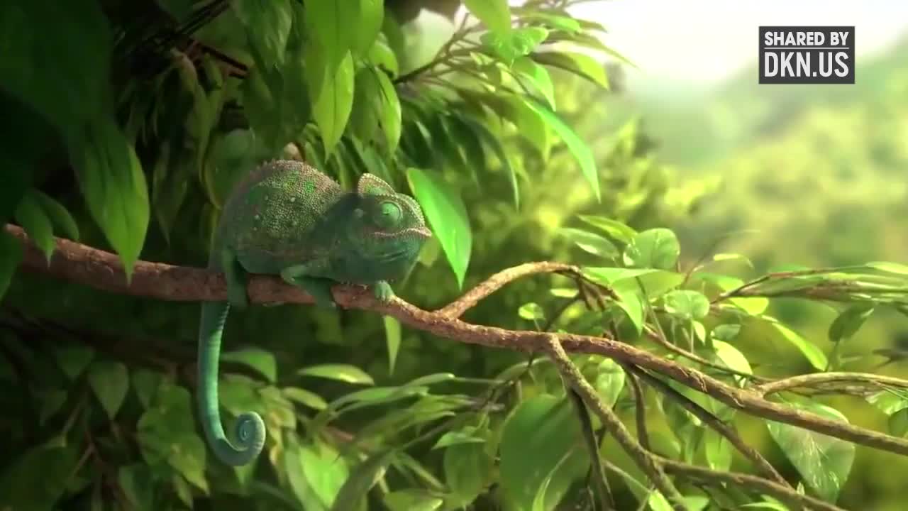 Cái tội tham ăn!