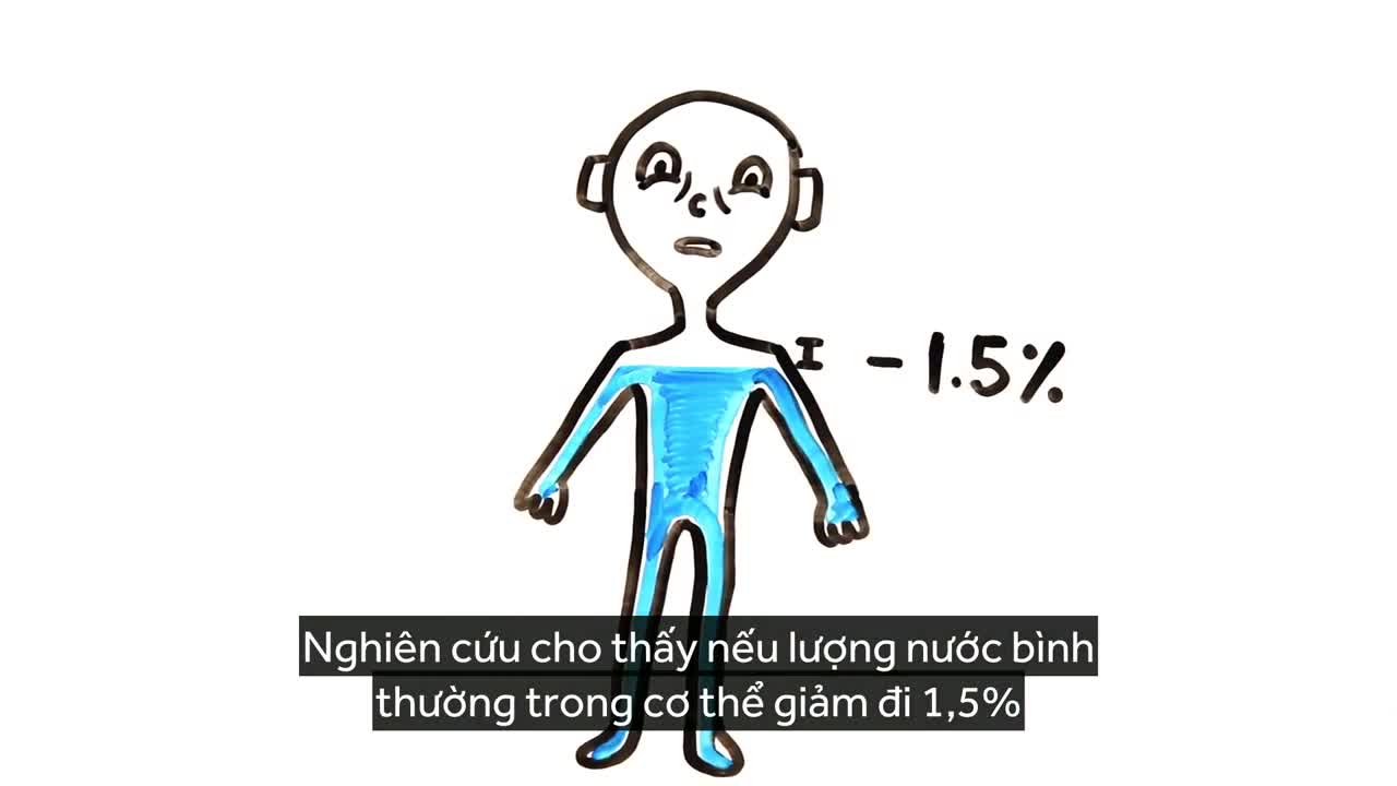 Tại sao bạn luôn mệt mỏi?