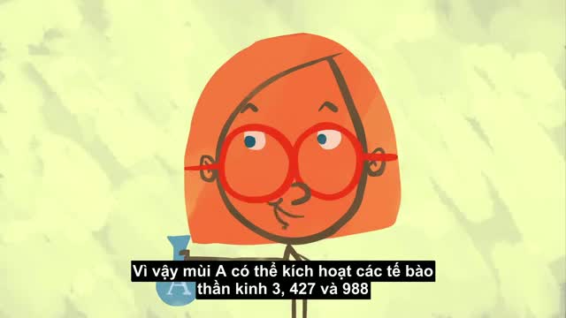 Điều gì xảy ra bên trong mũi khi chúng ta ngửi?