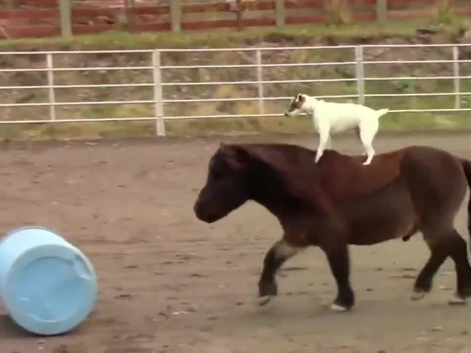Ai cũng điệu nghệ hết!