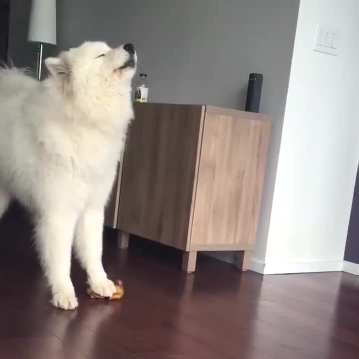 Muốn hát hay .. là phải có nhạc rồi 