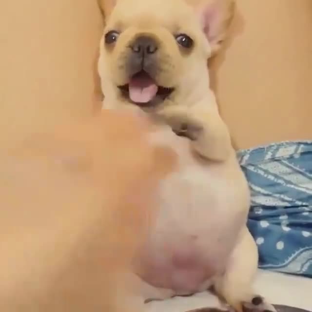 Cái mặt trông cực phê 