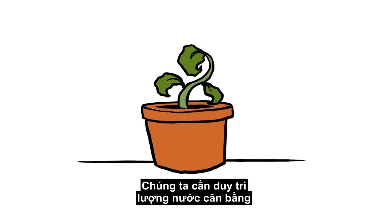 Nếu không uống nước cơ thể bạn sẽ ra sao?