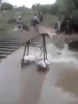 Trả giá vì trổ tài đi xe máy trên cầu bập bênh