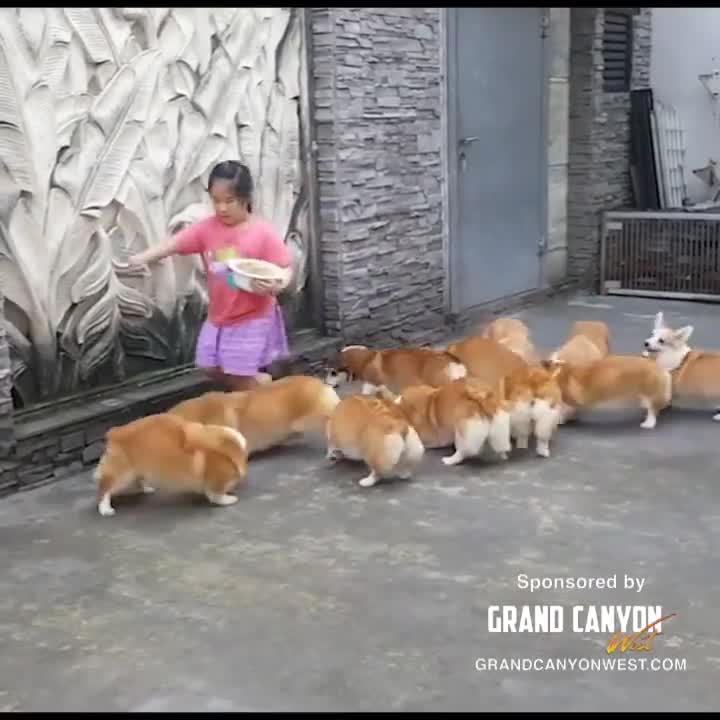 Xem ai dễ thương hơn nào!