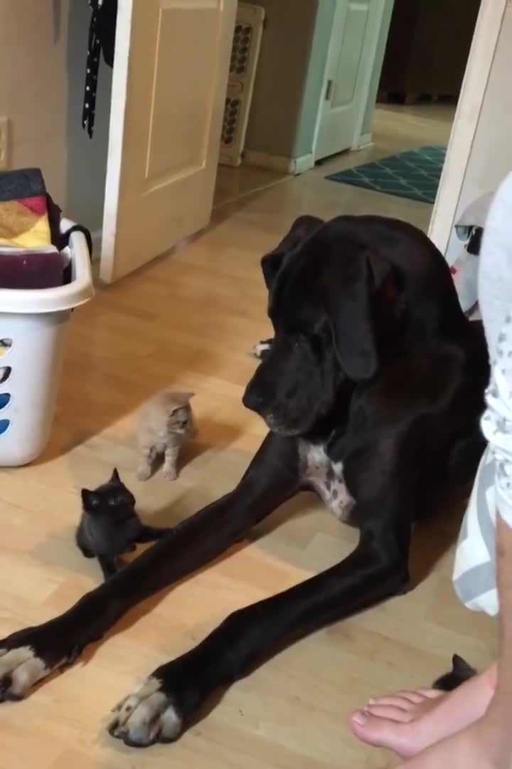 Đi bơi mà có vật dụng này thì cũng yên tâm phần nào! 
