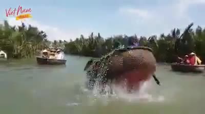 Ai đủ can đảm thử trò này?