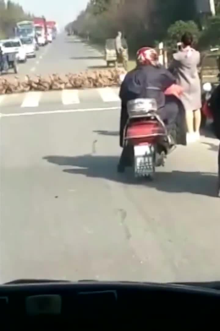 Giao thông thế này chắc muộn làm mất thôi 
