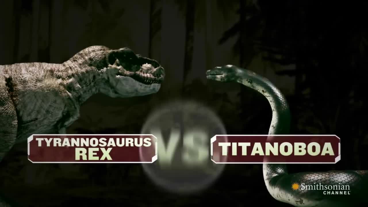 T-rex khủng long bạo chúa đối đầu với loài rắn lớn nhất lịch sử Trái Đất