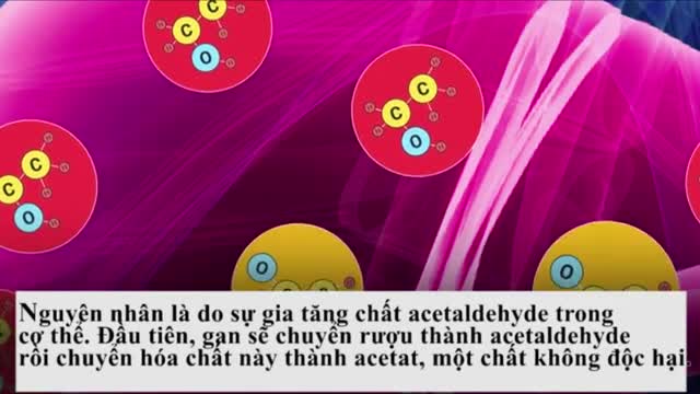 Tại sao có người đỏ mặt khi uống rượu?