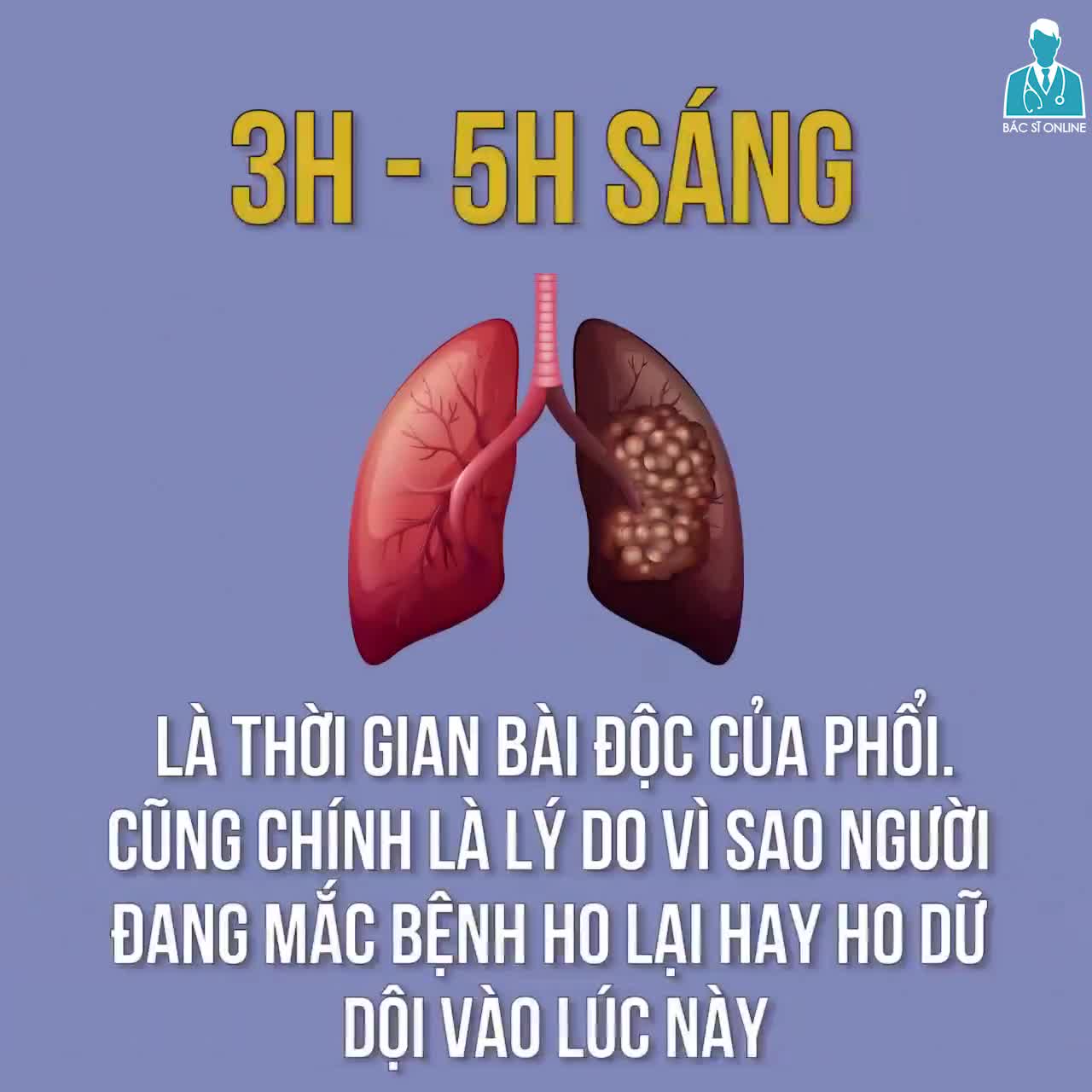 Các bộ phận cơ thể người hoạt động như thế nào về đêm?